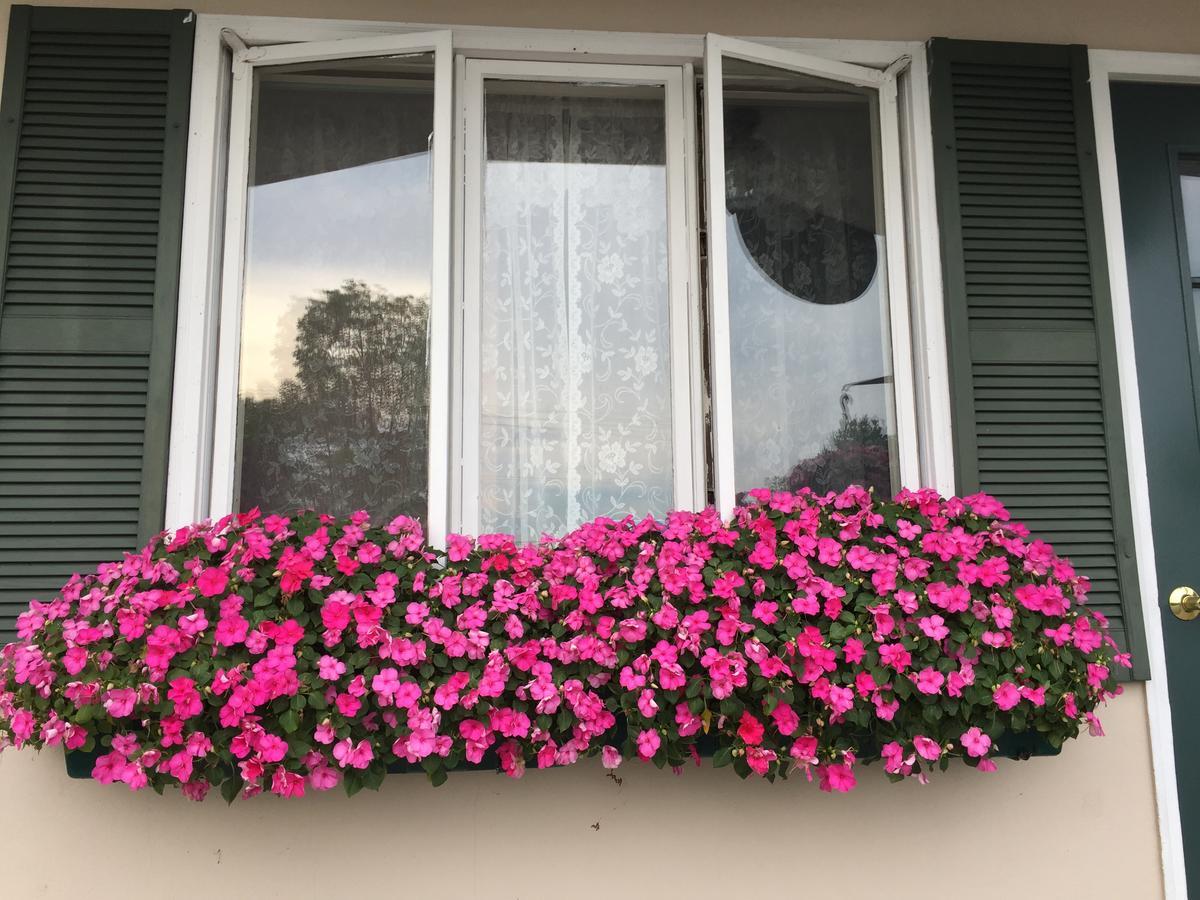 Swiss Inn Londonderry 外观 照片